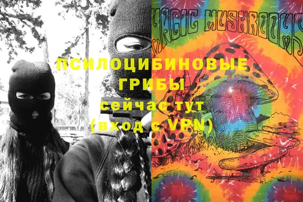 шишки Верея