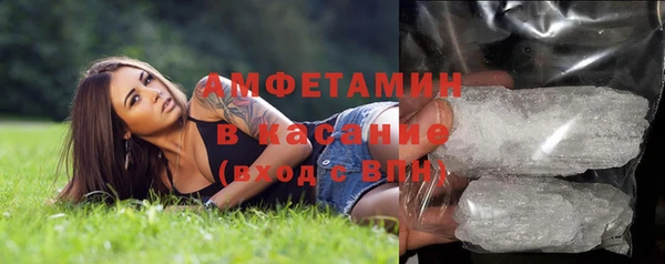 шишки Верея