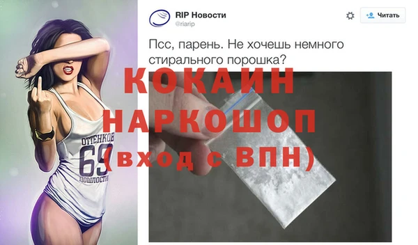 шишки Верея