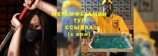 шишки Верея