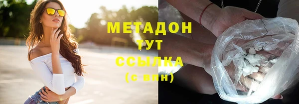 шишки Верея