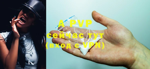 шишки Верея