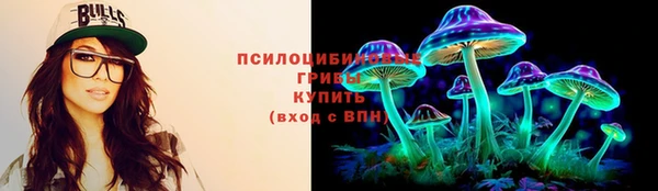 шишки Верея