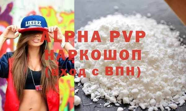 шишки Верея