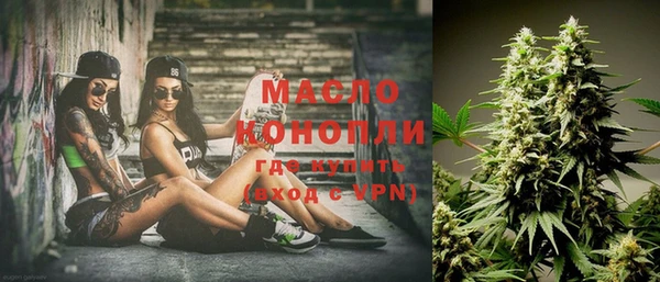 шишки Верея