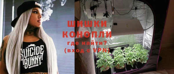 мдпв Володарск