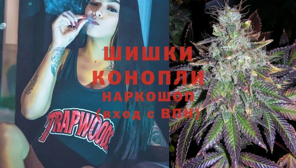 шишки Верея