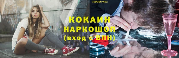 шишки Верея