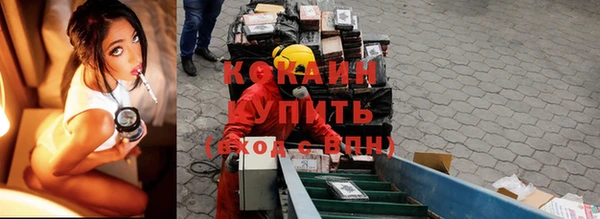 шишки Верея