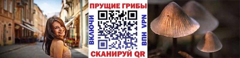 KRAKEN как войти  Назарово  Псилоцибиновые грибы GOLDEN TEACHER 